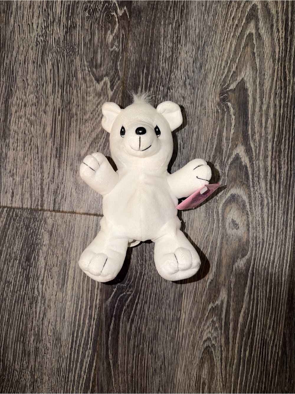 Vintage 1998 Precious Moments Tender Tails Bear Plush Stuffed Animal 382027 NWT